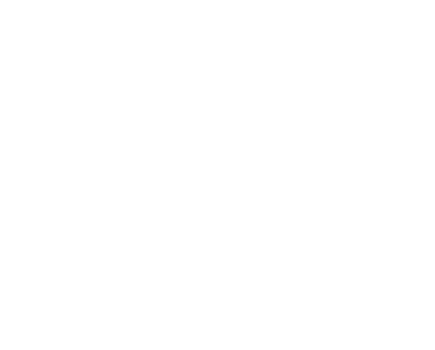 Vidhi Group